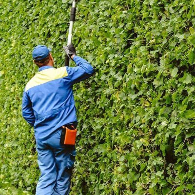 Garden Clearance