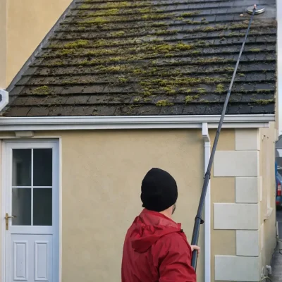 Professional exterior cleaning team working at residential property