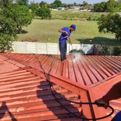 Roof Cleaning