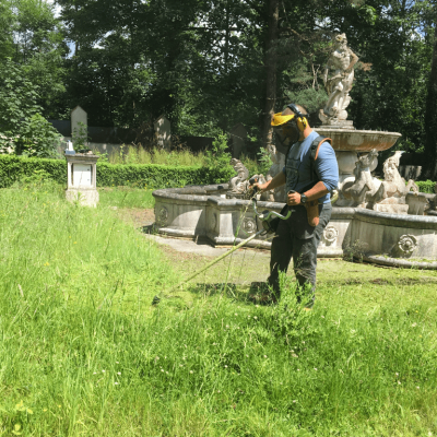 garden-clearance