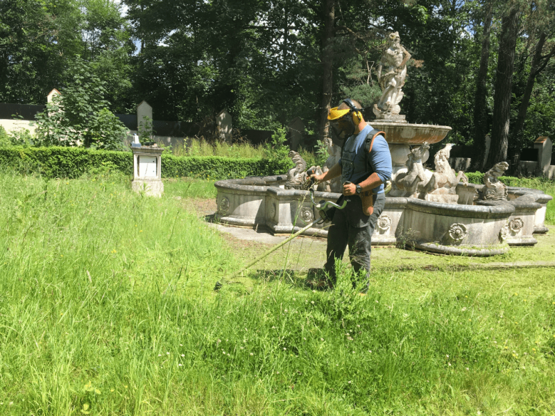 garden-clearance
